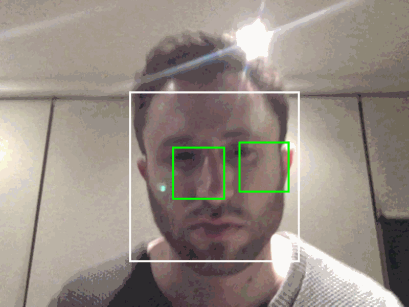 First stab at face and eye detection with OpenCV